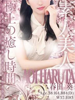 春田 葵 プロフィール画像