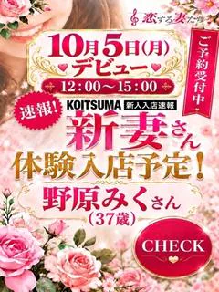 野原みく