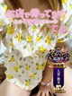 てん プロフィール画像
