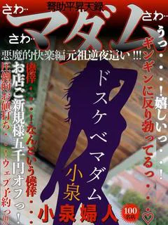 小泉 プロフィール画像