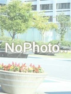 こずえ プロフィール画像