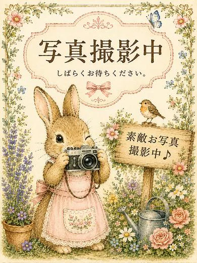 秋元 志乃 プロフィール画像