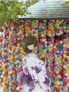 まほ