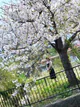石川 さくら プロフィール画像