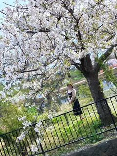 石川 さくら