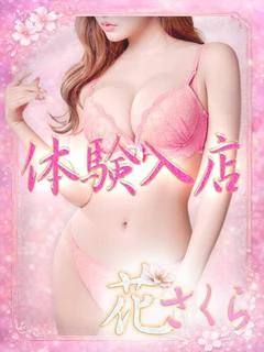 めい/乙女 プロフィール画像