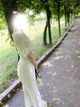 さくら プロフィール画像