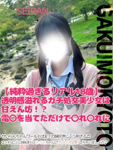 せいらん プロフィール画像