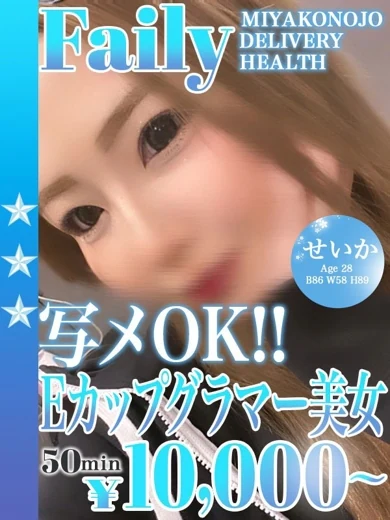 せいか プロフィール画像