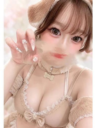犬のココ プロフィール画像