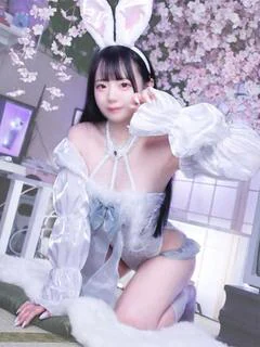 ちわわ