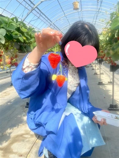しいか プロフィール画像