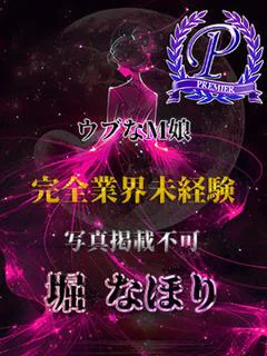 堀なほり