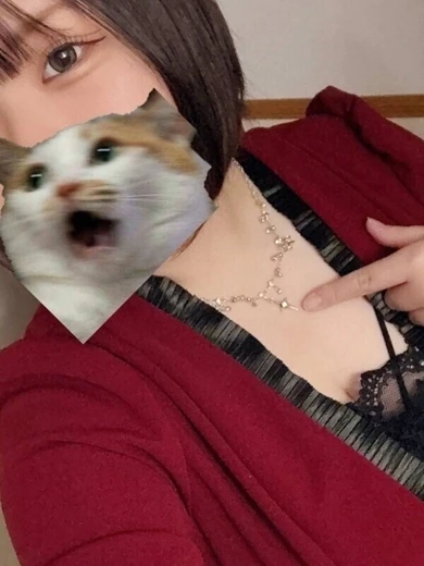 せいな プロフィール画像