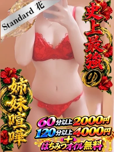 ねこ☆STANDARD プロフィール画像