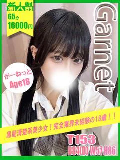 がーねっと