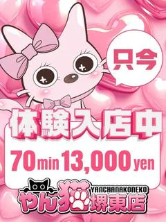 きょうか