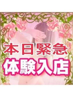 ひめ(本日緊...