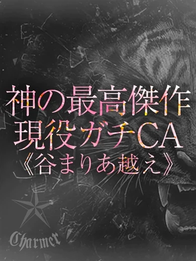 SUMIRE【B】 プロフィール画像