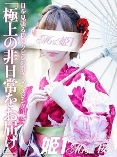 春花 はるひ -[桜]-