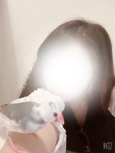 なつち プロフィール画像